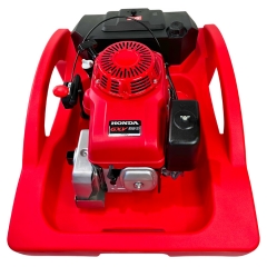 202502281446400.amphibio-1500-2.jpg