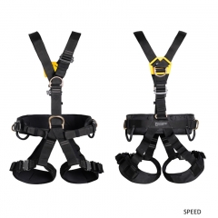 202601301250120.technic-speed.jpg